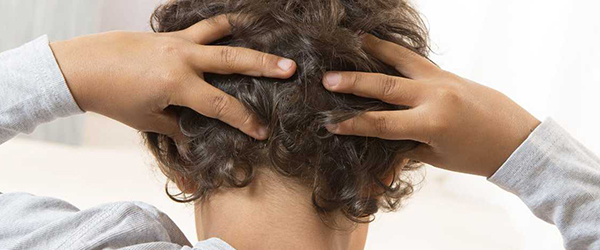 педикульоз 4